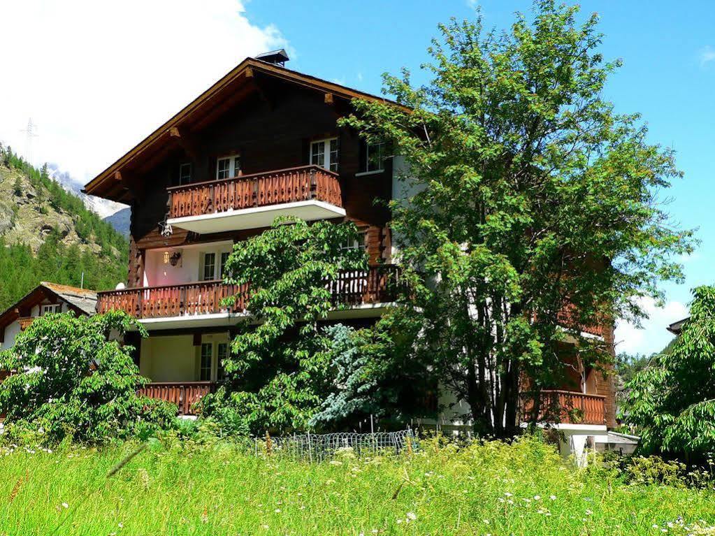 Haus Alpenperle Apartment Saas-Almagell Exterior photo
